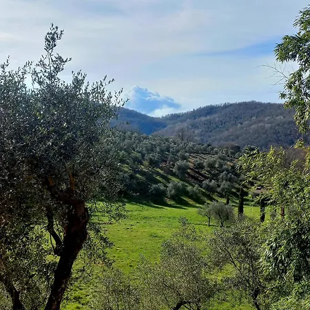 Bed & Breakfast La Risorgiva 3*