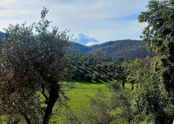 Bed & Breakfast La Risorgiva 3*